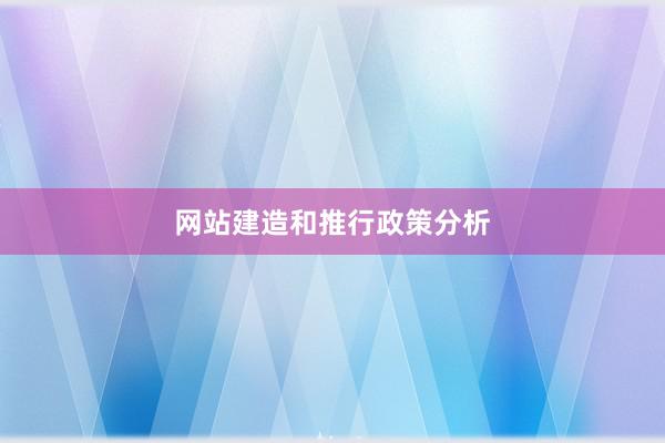 网站建造和推行政策分析